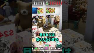 パート42　負けても終わりじゃないここからが本番だ！【めっちゃカメレオン】 #shorts#めっちゃカメレオン#かくれんぼ#mecchachameleongame