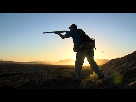 Yuma: A Dove Hunter's Paradise