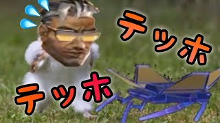 ﾃｯﾎﾃｯﾎ伝えなきゃ【Valorant】 #valorant  #ヴァロラント #fps