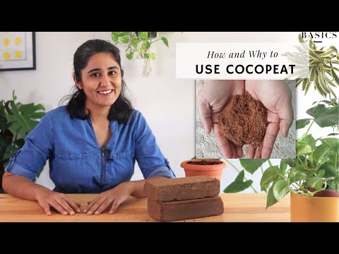 Cocopeat Brick