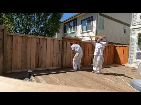 Frog clan painting group video.