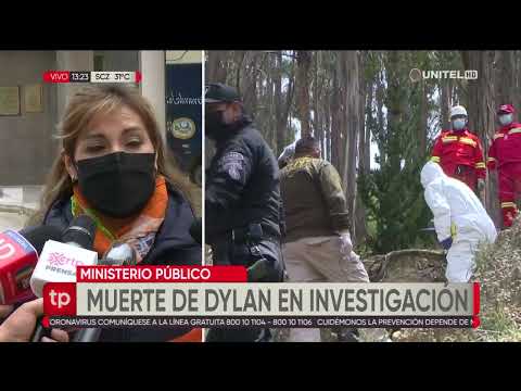 La Fiscalía cree que fueron los perros los que cercenaron los brazos y el tórax de Dylan