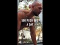 500 PUSH UPS A DAY