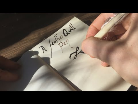 To Make a Quill Pen and Write (asmr) Turkey Feather and Walnut Ink