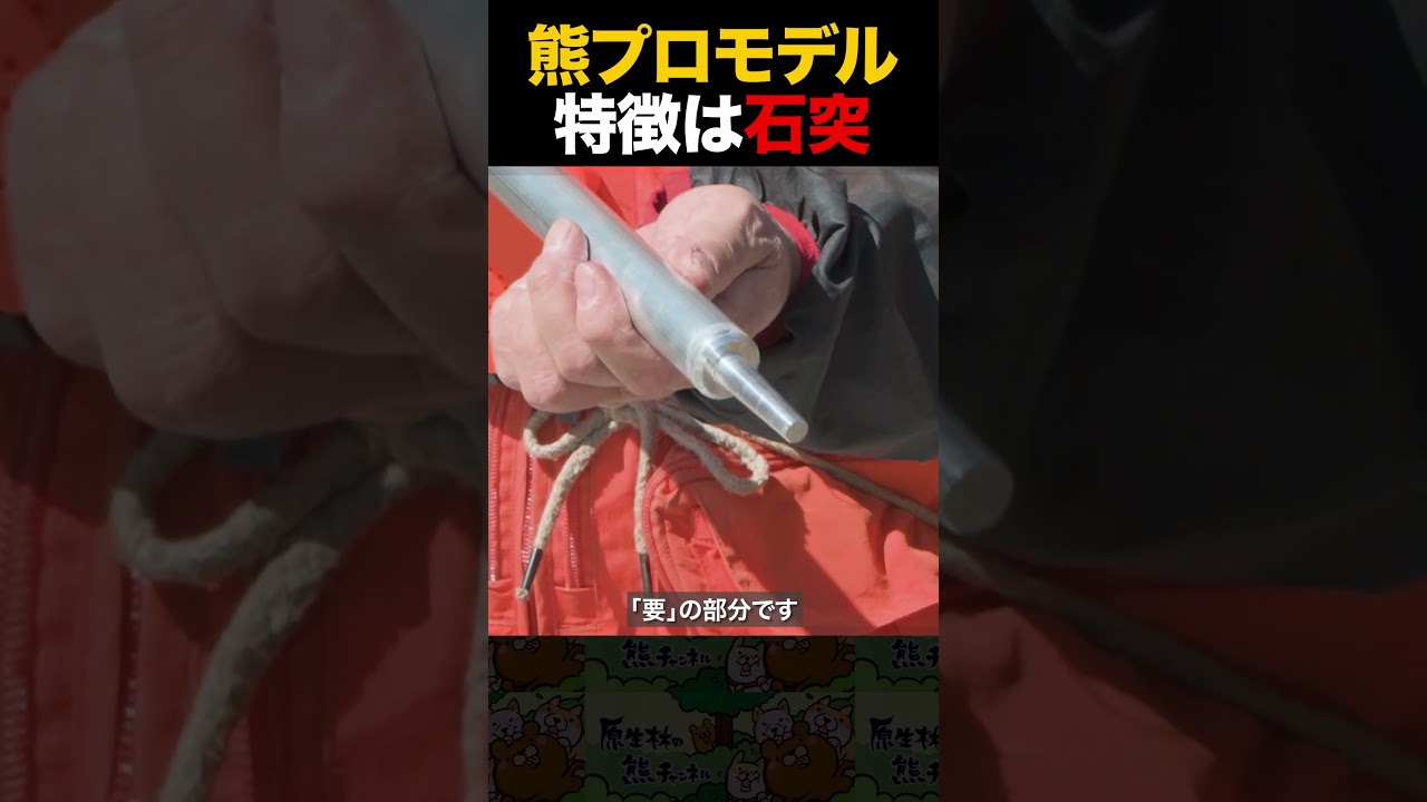 プロモデル最大の特徴【石突】