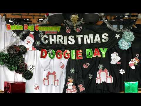 BDC Christmas Doggie Day 2019