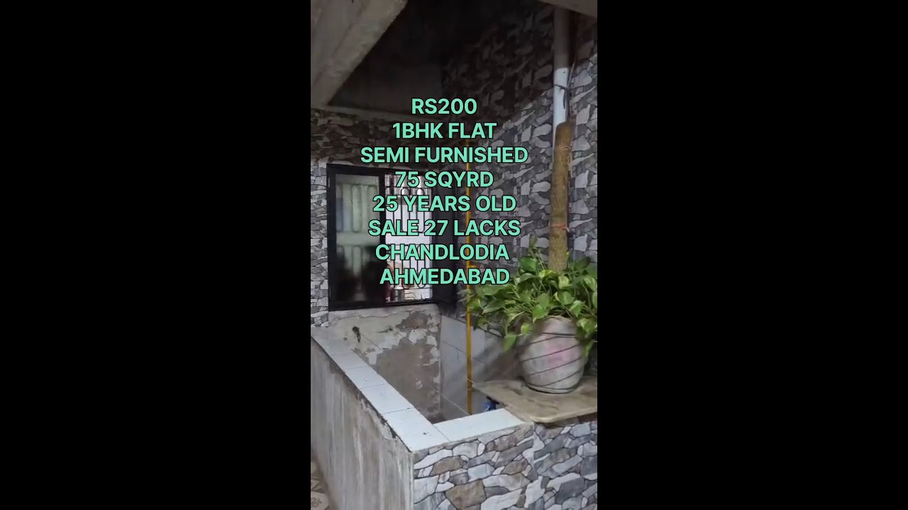 video image