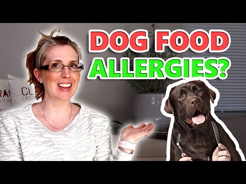 Help! What Do I Feed My Dog With A Food Allergy