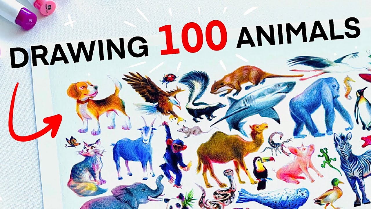 Drawing 100 Animals in 4 DAYS + Ohuhu Markers First Impressions!