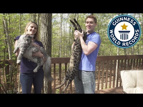 16 Outstanding Guinness World Records