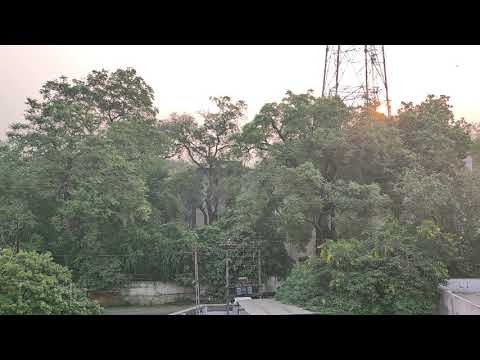 MI 11 LITE 5G NE _ time Lapse Video Shoot