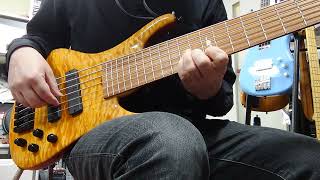 Video thumbnail for Roscoe LG3006 Jimmy Haslip Signature DEMO by Ties Store タイズストア