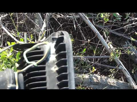 Djuma: Snake-Spotted Bush Snake on light then moves to tree - 16:21 - 10/08/21