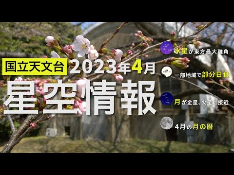 「不気味さ」: ニュージーランドの天体現象が大きな驚きを生み出す