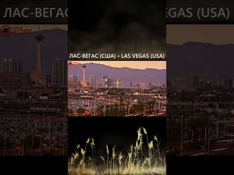 ЛАС-ВЕГАС: Пугающая обратная сторона 🌵 #shorts #сша