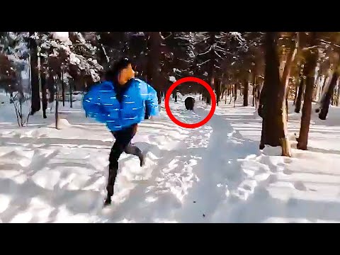 Echt oder Fake? Bär jagt Mann durch Wald – und die Video-Drohne hält voll drauf