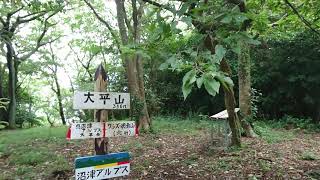 実況登山。奥沼津アルプスの終点(または起点)、大平山山頂迄の道程。