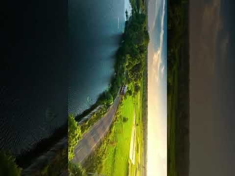 Feel the bgm | Insecurities bgm #nature #feelthebgm #feelthemusic #premalu #naturephotography