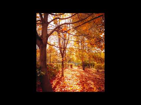 [FREE] skele, fats'e, midwest emo type beat | "lessons"