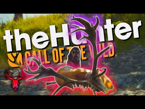 Hitting The Dirtiest Of Snipes 🦌🔫 | theHunter: Call of the Wild - Parque Fernando