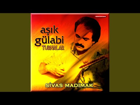 Video Yükleniyor...