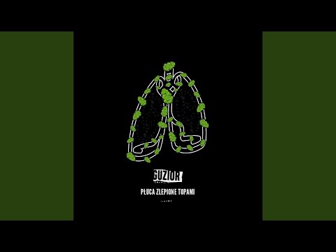 Płuca zlepione topami