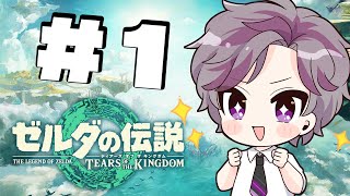ティアキンやるぞおおお【ゼルダの伝説ティアーズオブザキングダム】