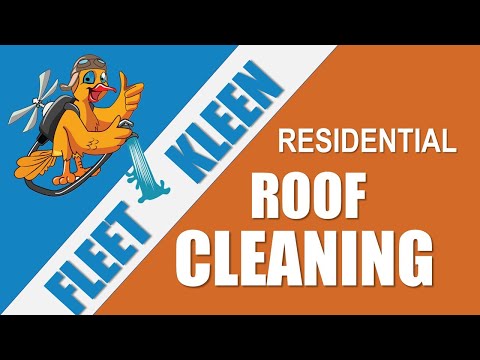 Roof Cleaning
