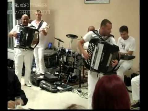 Davor Petrovic i Orkestar Ljubise Bozinovica