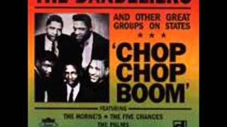 The Dandeliers-Chop Chop Boom