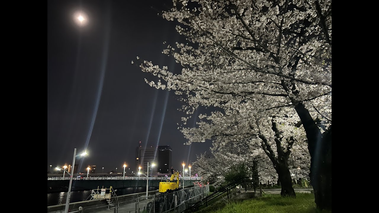 2026 第三回 【花見大会】