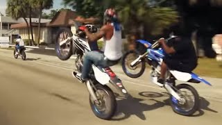 Horde sauvage façon Miami