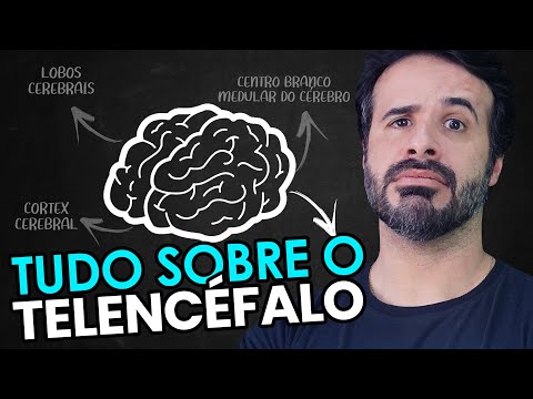 THIS METHOD WILL HELP YOU UNDERSTAND EVERYTHING ABOUT THE TELENCEPHALON.