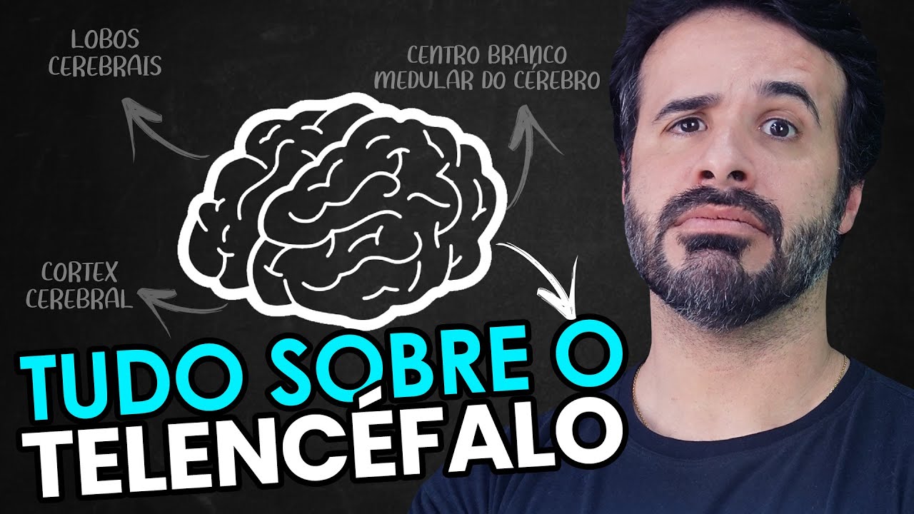 ESSE MÉTODO VAI TE AJUDAR A ENTENDER TUDO SOBRE O TELENCÉFALO.