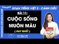 Giải sgk Tiếng Việt lớp 5 Bài 11: Cuộc sống muôn màu