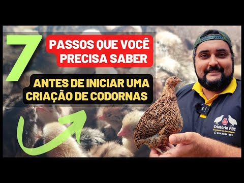 , title : 'Como iniciar uma CRIAÇÃO DE CODORNAS do ZERO | Tudo que você precisa saber sobre criação de codornas'