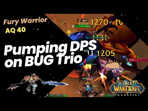 Pumping DPS on BUG Trio - World Buffed Fury Warrior - Classic ERA WoW - AQ40