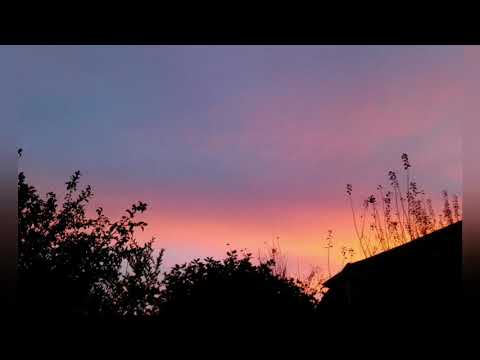 El Roto - Grupo Firme ft Los Contactos (En Vivo)