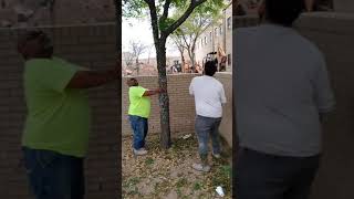 Money grows on trees bull shit