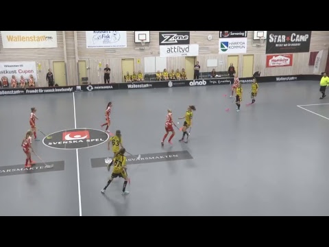 F05 Pixbo Wallenstam IBF - Bergs IK