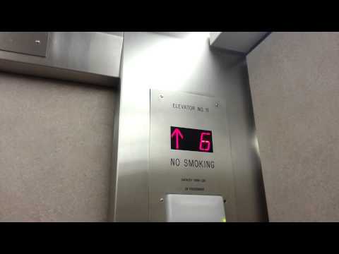 Vintage Westinghouse Elevators at Eisenberg Building