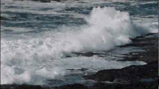 ♥♫WAVE - GAL COSTA &amp; TOM JOBIM.♥♫