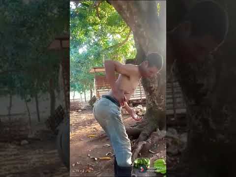 sacala pave 🤣🤣🤣🤣