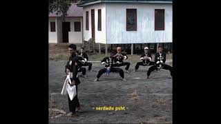Download lagu Latihan bersama PSHT & IKSPI 💙🤍 #psht #ikspi #shorts mp3