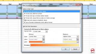 Excel: Conditional Formatting to Highlight Data Part 2