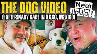 MOVING WITH PETS? Watch this! How we ADOPTED our dog & VETERINARIAN CARE in AJIJIC, Mexico!