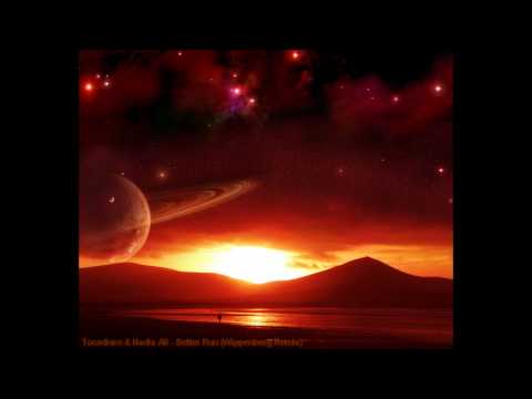 Tocadisco & Nadia Ali - Better Run (Wippenberg Remix)