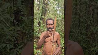 Download lagu Survival Arrows 🏹😯 #hunting #korowai #jungle #nature #papua mp3