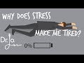 Why Does Stress Makes Me Tired?