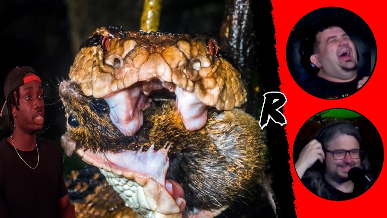 Why the Amazon Makes Australia Look Like a Joke - @mndiaye_97 | RENEGADES REACT